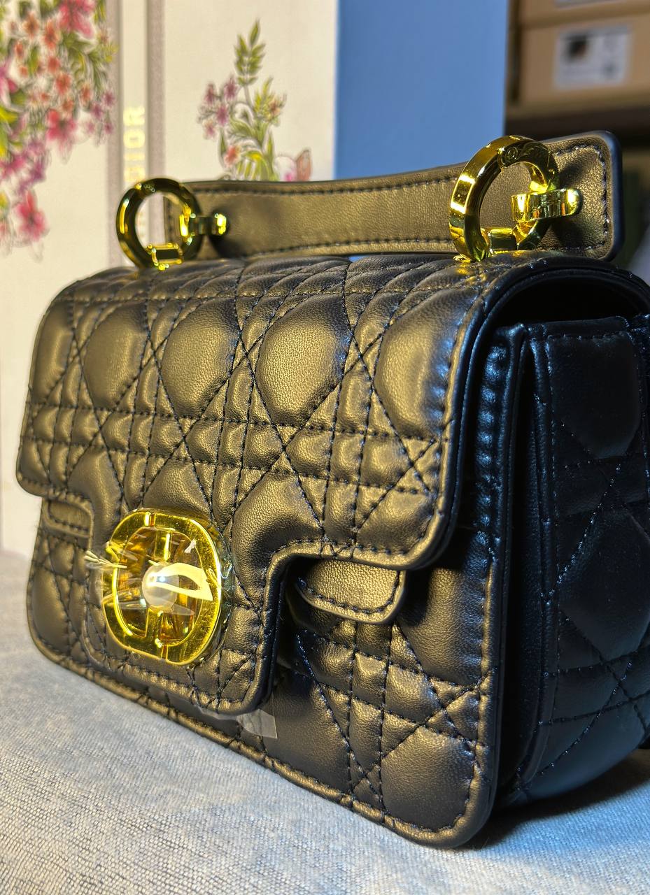 Sac Dior