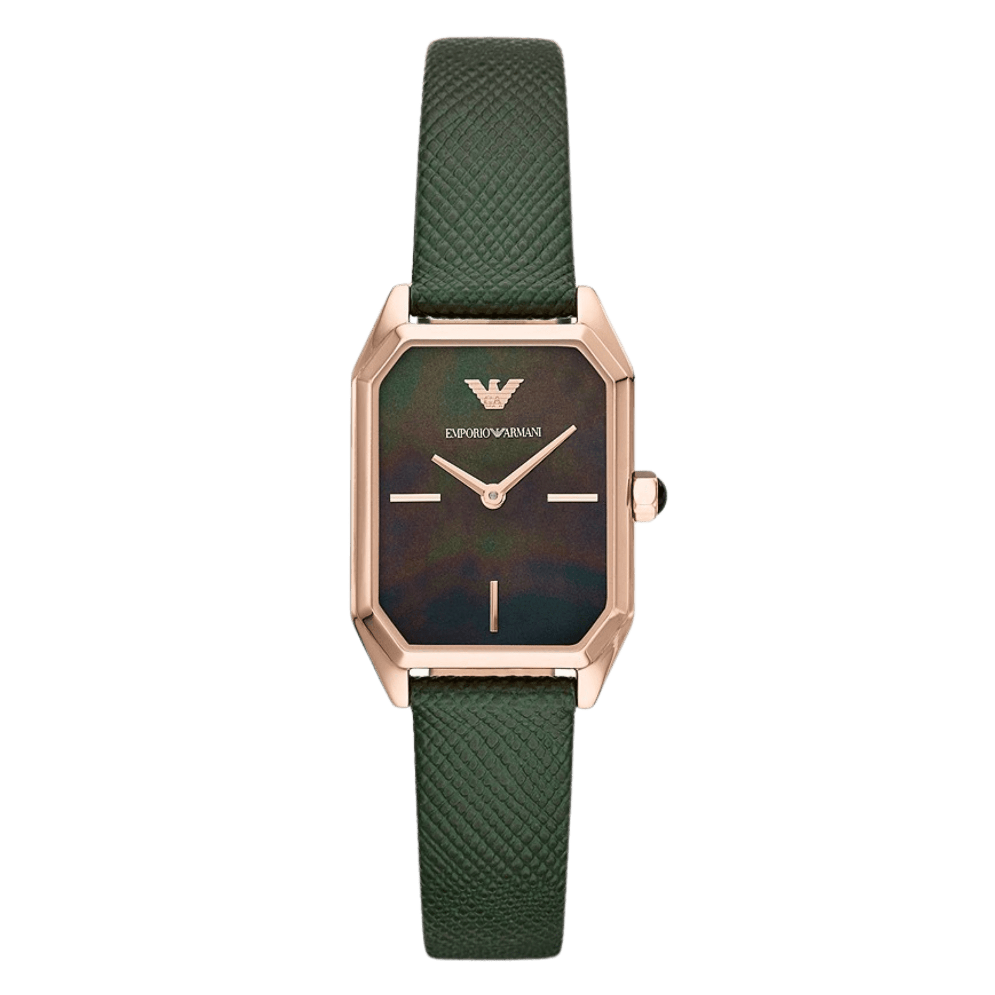 Montre Femme EA Gioia AR11149