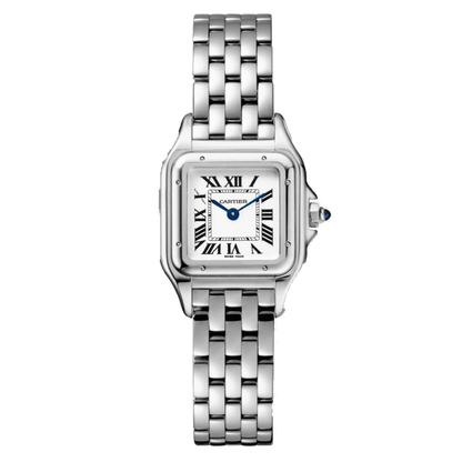 Cartier Panthère Silver